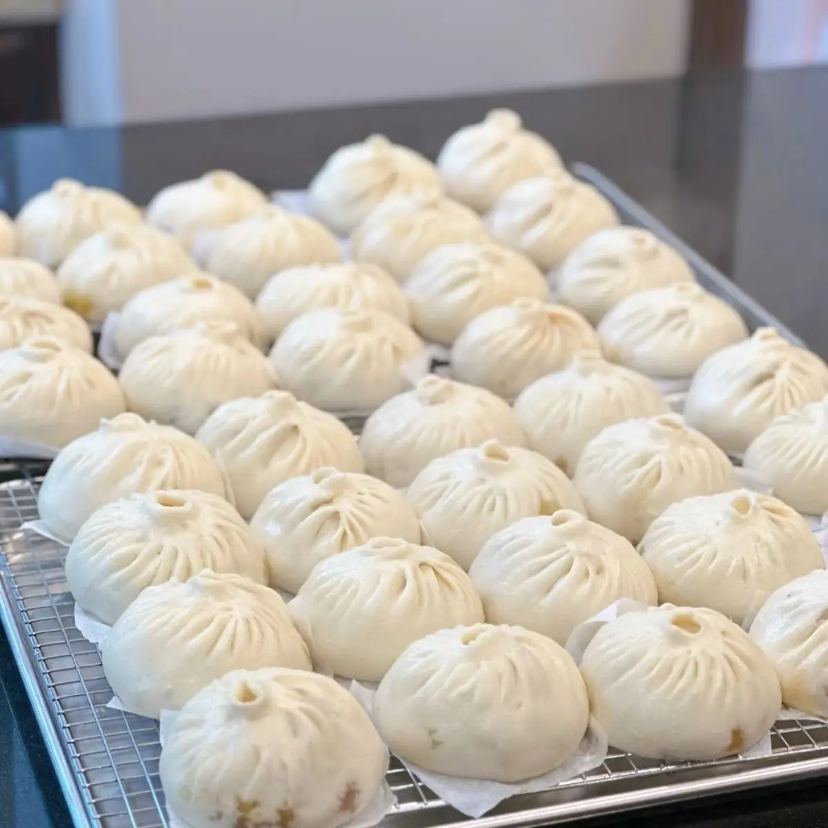 肉包 Fresh Pork Buns